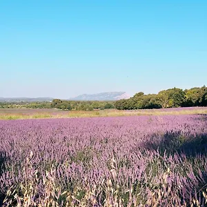 maison-francoise.aixenprovencehotels.org/